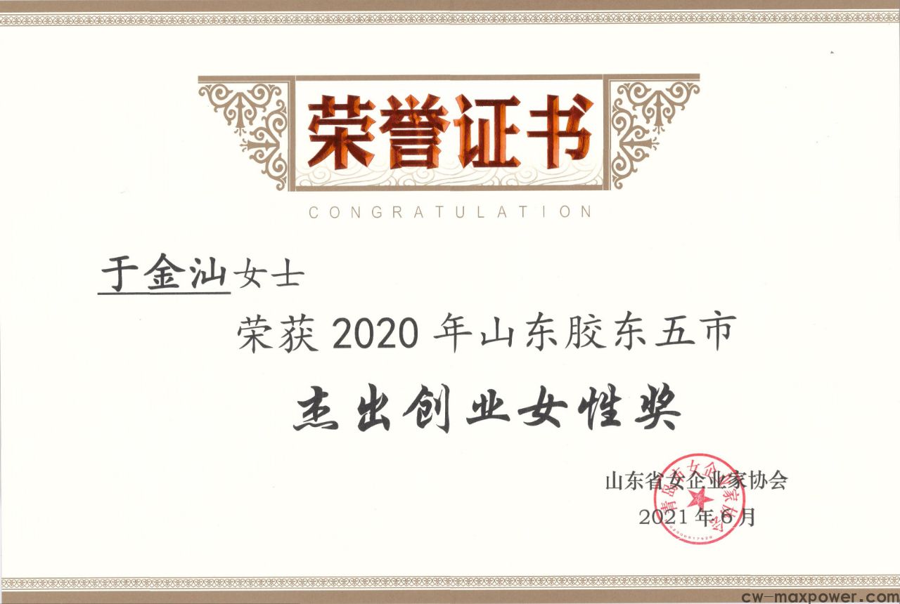 喜报！于金汕总经理荣获2020年山东胶东五市杰出创业女性奖(图2)